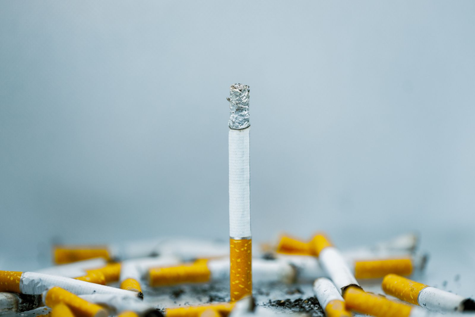 En cigarett står upprätt bland släckta fimpar — en bild av rökningens slutpunkt.
